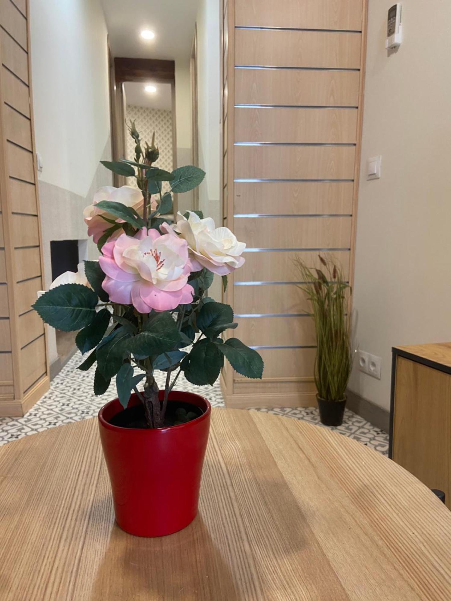 Orquidea Apartamento